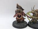 Warhammer Age of Sigmar: Maggotkin of Nurgle Harbinger of Decay Old and Nurgle Sorcerer (AL044)