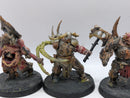 Warhammer Age of Sigmar: Maggotkin of Nurgle Harbinger of Decay Old and Nurgle Sorcerer (AL044)