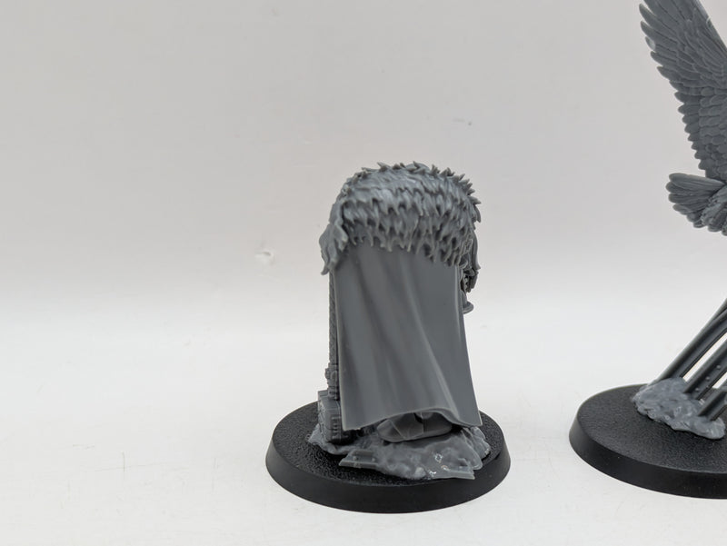 Warhammer 40k: Agents of the Imperium Inquisitor Coteaz (AW111)