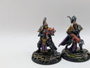 Warhammer 40k: Adpetus Custodes Sisters of Silence Prosecutor Squad - Well Painted (AW009)