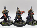 Warhammer 40k: Adpetus Custodes Sisters of Silence Prosecutor Squad - Well Painted (AW009)