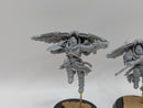 Warhammer 40k: Adpetus Custodes Forgeworld Venatari Squad (BA060)