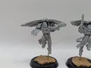 Warhammer 40k: Adpetus Custodes Forgeworld Venatari Squad (AW123)