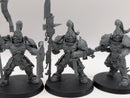 Warhammer 40k: Adpetus Custodes Custodian Guard (BA064)