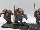 Warhammer The Old World: Skaven Converted Rat Ogres (AC023)