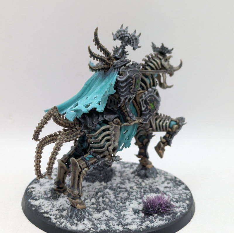 Warhammer Age of Sigmar: Ossiarch Bonereapers Liege Kavalos - Well Painted (AU002)