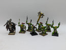 Warhammer The Old World: Orcs & Goblins Savage Orcs and Wurrzag (AO006)