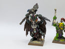 Warhammer The Old World: Orcs & Goblins Savage Orcs and Wurrzag (AO006)