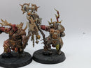 Warhammer Age of Sigmar: Maggotkin of Nurgle Putrid Blightkings (BA146)