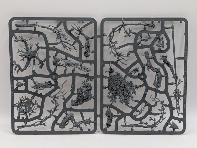 Warhammer Age of Sigmar: Sylvaneth Lady of Vines (SPRUE0123)