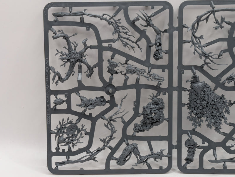 Warhammer Age of Sigmar: Sylvaneth Lady of Vines (SPRUE0123)