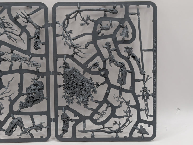 Warhammer Age of Sigmar: Sylvaneth Lady of Vines (SPRUE0123)