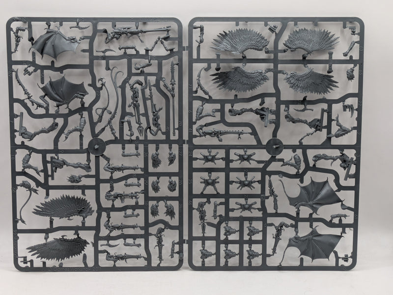 Warhammer 40k: Drukhari Scourges (SPRUE0222)