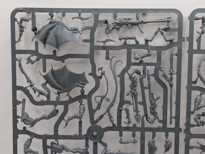 Warhammer 40k: Drukhari Scourges (SPRUE0222)