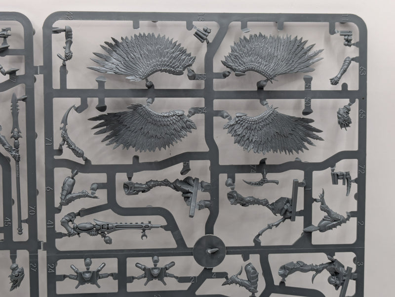 Warhammer 40k: Drukhari Scourges (SPRUE0222)