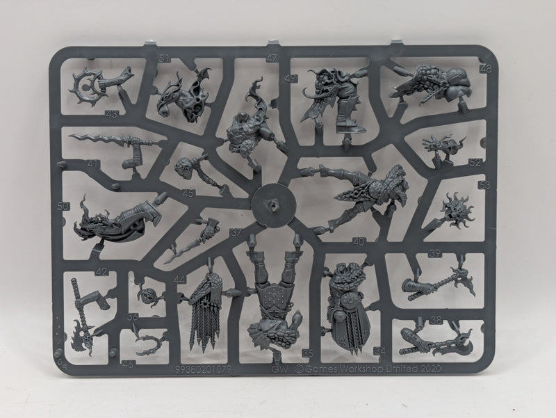 Warhammer Age of Sigmar: Warcry Scions of the Flame (SPRUE0263)