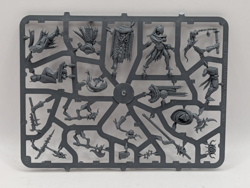 Warhammer Age of Sigmar: Warcry Scions of the Flame (SPRUE0263)