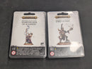 Warhammer Age of Sigmar: Hedonites of Slaanesh Shardspeaker and Lord of Pain (BB529)