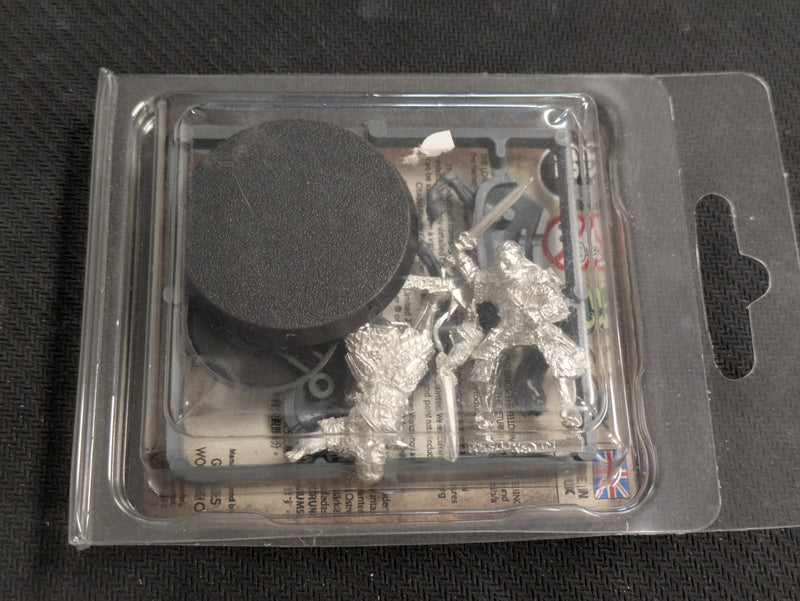 Warhammer Lord of the Rings: Rohan Theodred Prince of Rohan (BD114)