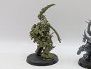 Warhammer 40k: Death Guard Typhus and Noxious Blightbringer (AW200)
