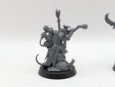 Warhammer Age of Sigmar: Skaven Grey Seer and Warlock Engineer (AC017)