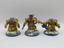 Warhammer 40k: Space Marines Imperial Fists Centurions - Well Painted (AD127)