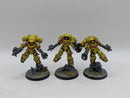Warhammer 40k: Space Marines Imperial Fists Inceptors - Well Painted (AC128)