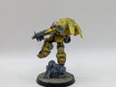 Warhammer 40k: Space Marines Imperial Fists Inceptors - Well Painted (AC128)