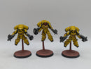 Warhammer 40k: Space Marines Imperial Fists Inceptors - Well Painted (AC129)