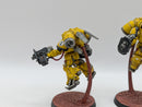 Warhammer 40k: Space Marines Imperial Fists Inceptors - Well Painted (AC129)