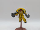 Warhammer 40k: Space Marines Imperial Fists Inceptors - Well Painted (AC129)