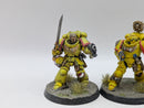 Warhammer 40k: Space Marine Converted Lieutenants/Sergeants (AI099)