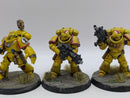 Warhammer 40k: Space Marine Converted Lieutenants/Sergeants (AI099)
