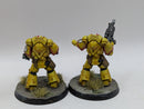 Warhammer 40k: Space Marine Converted Lieutenants/Sergeants (AI099)
