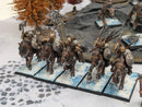Warhammer The Old World: Warriors of Chaos Norsca Army - Well Painted (AB782)
