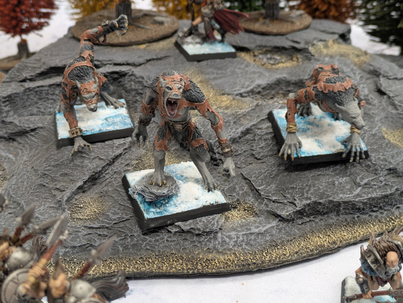 Warhammer The Old World: Warriors of Chaos Norsca Army - Well Painted (AB782)