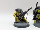 Warhammer 40k: Space Marine Imperial Fists Eliminators (AL024)