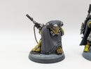 Warhammer 40k: Space Marine Imperial Fists Eliminators (AL024)