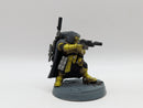 Warhammer 40k: Space Marine Imperial Fists Eliminators (AL024)