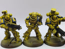 Warhammer 40k: Space Marine Imperial Fists Intercessors (AI238)