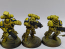 Warhammer 40k: Space Marine Imperial Fists Intercessors (AI238)