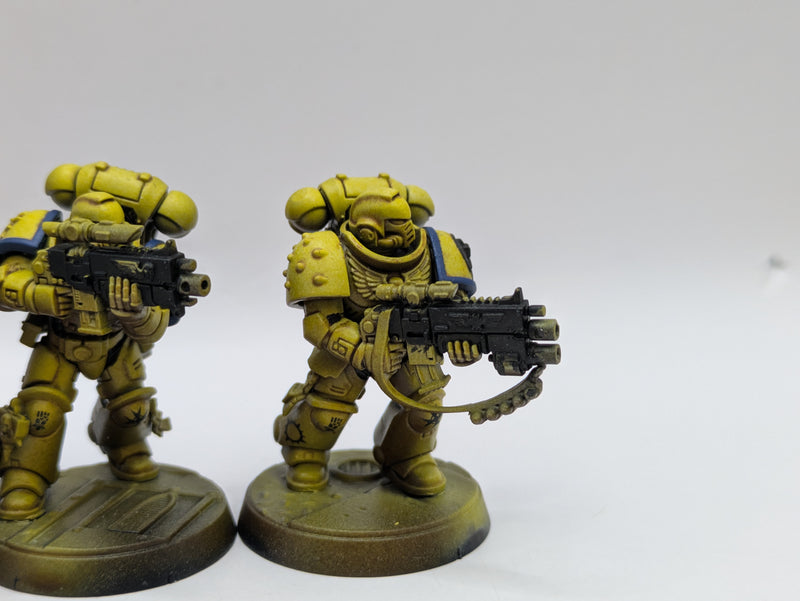 Warhammer 40k: Space Marine Imperial Fists Intercessors (AI238)