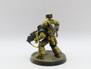 Warhammer 40k: Space Marine Imperial Fists Lieutenant (AJ043)
