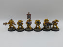 Warhammer 40k: Space Marine Firstborn Imperial Fists Tactical Marines - Well Painted (AJ128)