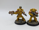 Warhammer 40k: Space Marine Firstborn Imperial Fists Tactical Marines - Well Painted (AJ128)