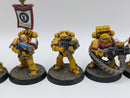 Warhammer 40k: Space Marine Firstborn Imperial Fists Tactical Marines - Well Painted (AJ128)