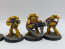 Warhammer 40k: Space Marine Firstborn Imperial Fists Tactical Marines - Well Painted (AJ128)