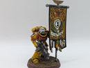 Warhammer 40k: Space Marine Imperial Fists Ancient (AH073)