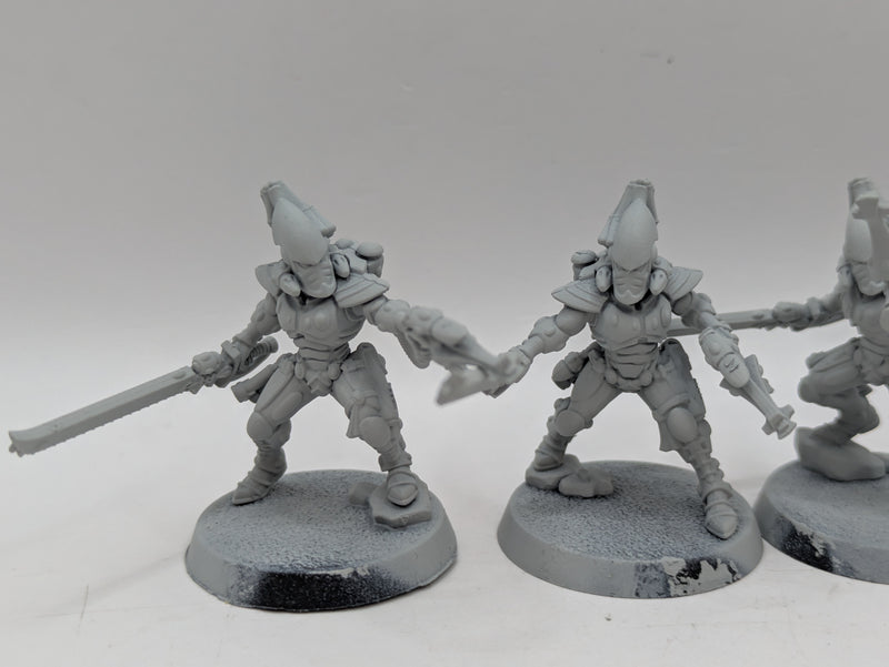 Warhammer 40k: Aeldari Eldar Striking Scorpions Kill Team (AC108)