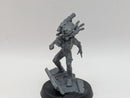 Warhammer 40k: Imperial Agents Culexus Assassin (AW018)